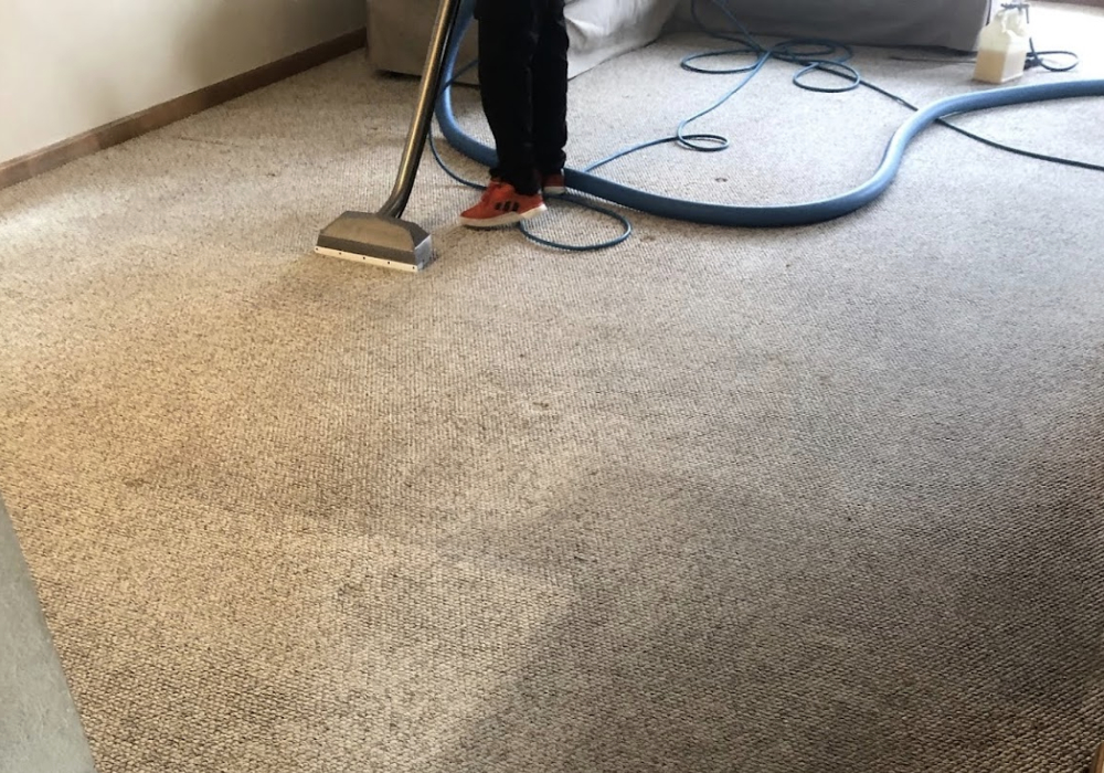 Carpet and Upholstery Cleaning Colorado Springs